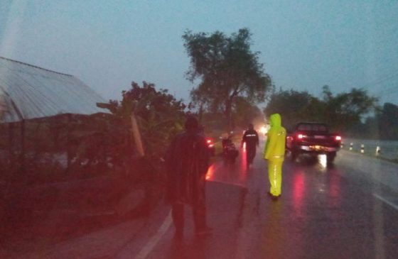 Gerak Cepat, Polisi Tangani Pohon Tumbang Berpotensi Membahayakan Pengguna Jalan Raya di Desa Tegal Girang
