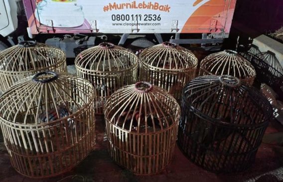 Polisi Berhasil Amankan 5 Orang di Lokasi Perjudian Sabung Ayam