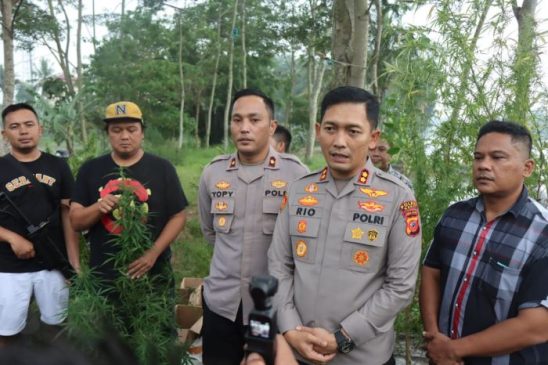 Polisi Ungkap Penanaman Diduga Pohon Ganja di Kabupaten Garut