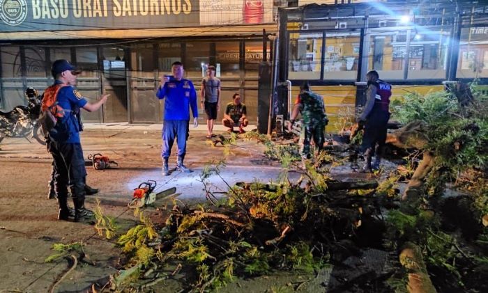 Respon Cepat, Polisi Bantu Evakuasi Pohon Tumbang di Jalan Purwakarta Antapani