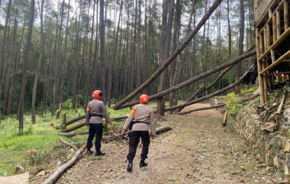 Sat Brimob Polda Jabar Cek Pohon Tumbang di Daerah Cibodas Lembang