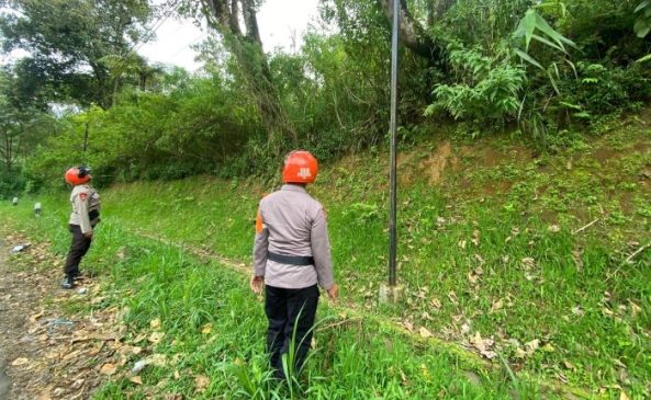Tim SAR SAT Brimob Polda Jabar Patroli Tempat Rawan Pohon Tumbang di Wilayah Lembang
