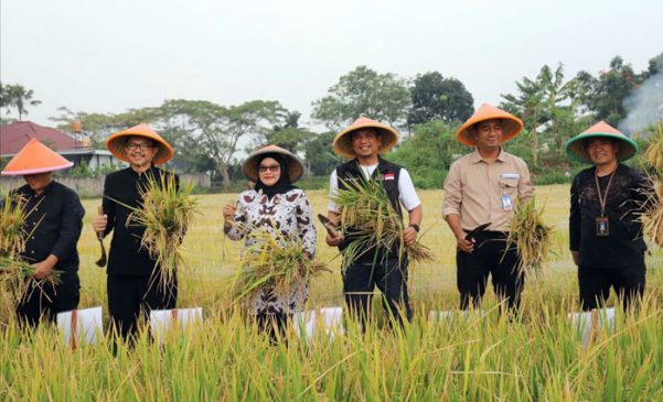 Ketua DPRD Minta Pemkot Bandung Berikan Pendampingan Kepada Para Petani