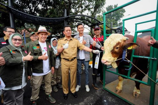 Jelang Iduladha, Ratusan Petugas Siap Pastikan Hewan Kurban Sehat