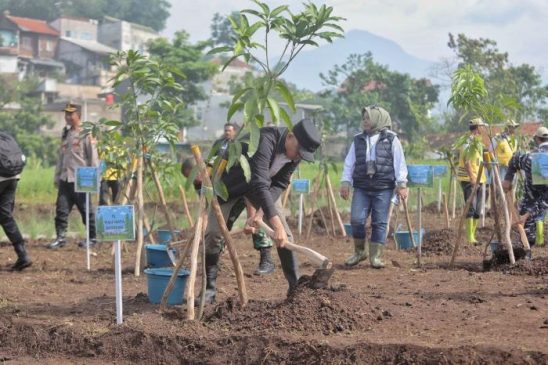 Konservasi Bandung Berkelanjutan Jilid 3, Pemkot Bandung Tanam 1.625 Bibit dan Bangun Kolam Retensi di Kawasan Bandung Utara