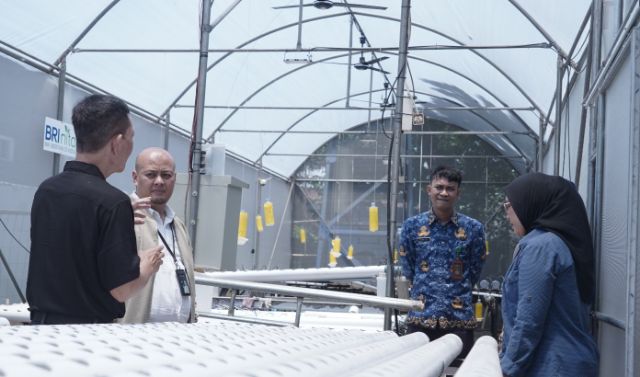 Wujudkan Ketahanan Pangan dan Pemberdayaan Masyarakat Perkotaan, BRI Peduli Laksanakan BRINita di Taman Tongkeng Bandung