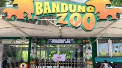Serikat Pekerja Apresiasi Skema Solusi Wali Kota untuk Penyelamatan Bandung Zoo