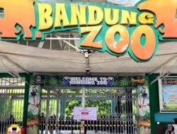 Serikat Pekerja Apresiasi Skema Solusi Wali Kota untuk Penyelamatan Bandung Zoo