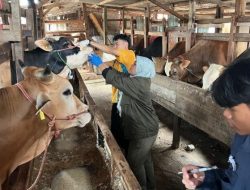 Berkurban Sehat dan Halal, Pemkot Bandung Siapkan Sistem Digital E-Selamat