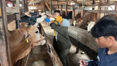 Berkurban Sehat dan Halal, Pemkot Bandung Siapkan Sistem Digital E-Selamat