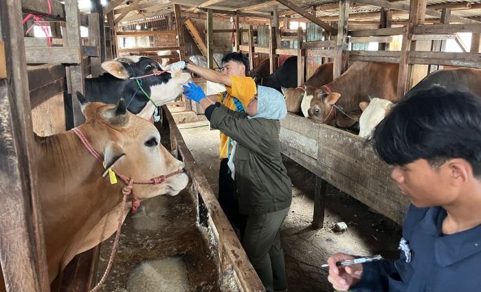 Berkurban Sehat dan Halal, Pemkot Bandung Siapkan Sistem Digital E-Selamat