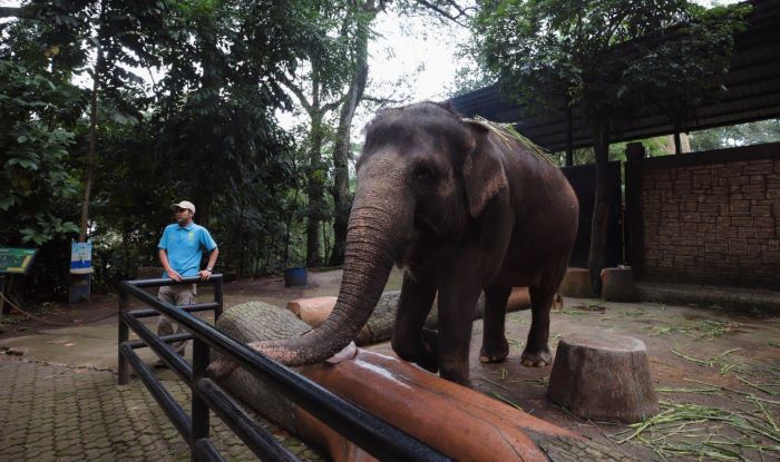Farhan 'Derenten' Bukan Sekadar Wisata, tetapi Warisan Budaya Warga Jawa Barat