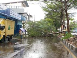 Hujan Deras dan Angin Kencang Terjang Bandung, 31 Pohon Tumbang dan Tanggul Jebol