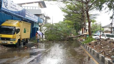 Hujan Deras dan Angin Kencang Terjang Bandung, 31 Pohon Tumbang dan Tanggul Jebol