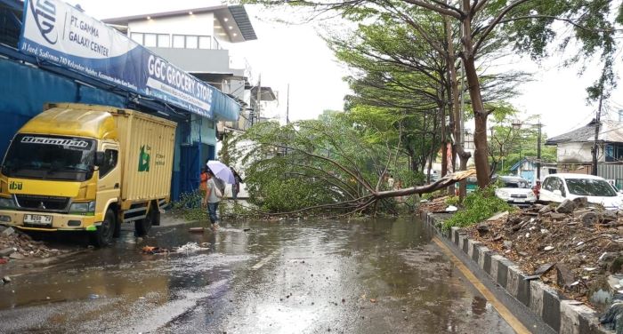 Hujan Deras dan Angin Kencang Terjang Bandung, 31 Pohon Tumbang dan Tanggul Jebol