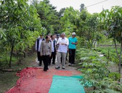 Kemenko IPK Lirik Lahan Warga Batununggal, Berpotensi Jadi RTH Produktif dan Sentra Urban Farming