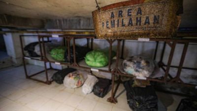 PVJ Bandung Olah 3,5 Ton Sampah per Hari, Budidaya Maggot Jadi Senjata Tekan Limbah