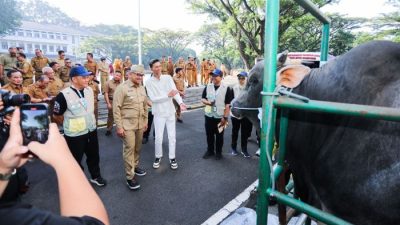 Pemkot Bandung Kerahkan 184 Petugas Awasi Hewan Kurban, Pastikan Bebas PMK hingga Hari Tasyrik