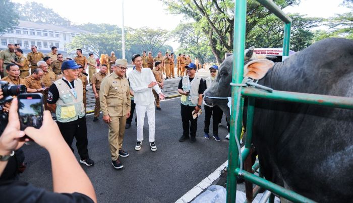 Pemkot Bandung Kerahkan 184 Petugas Awasi Hewan Kurban, Pastikan Bebas PMK hingga Hari Tasyrik