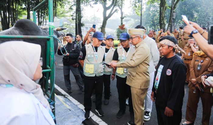 Pemeriksaan Hewan Kurban di Bandung Dinilai Efektif, Kasus Post Mortem Hanya Temuan Minor