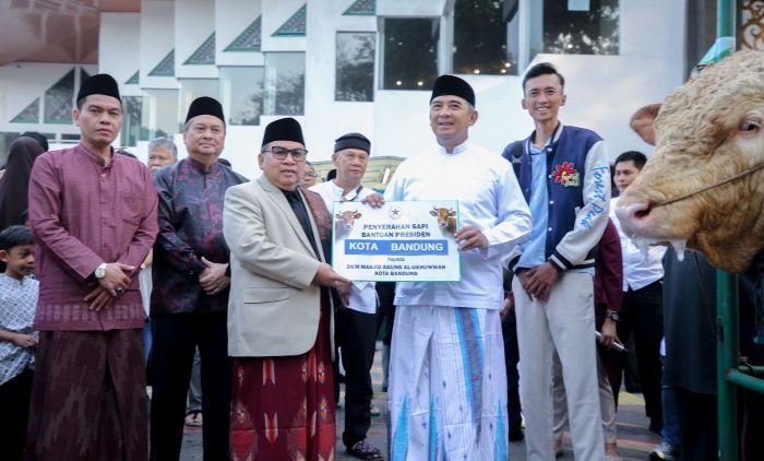 Sapi Kurban Presiden Prabowo Berbobot 1,25 Ton Diserahkan di Bandung, Dipotong di RPH Ciroyom
