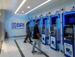Hari Pajak Nasional 2026: BRI Setor Rp19,1 Triliun ke Negara, Perkuat Peran sebagai Penopang Fiskal Nasional