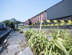 Pemkot Bandung Usut Penebangan 10 Pohon di Jalan Riau, Izin Usaha Ikut Dibongkar