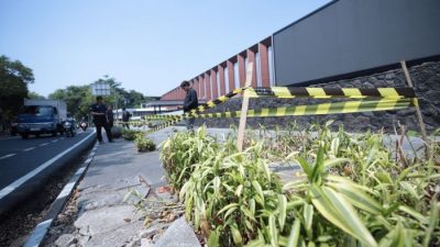 Pemkot Bandung Usut Penebangan 10 Pohon di Jalan Riau, Izin Usaha Ikut Dibongkar