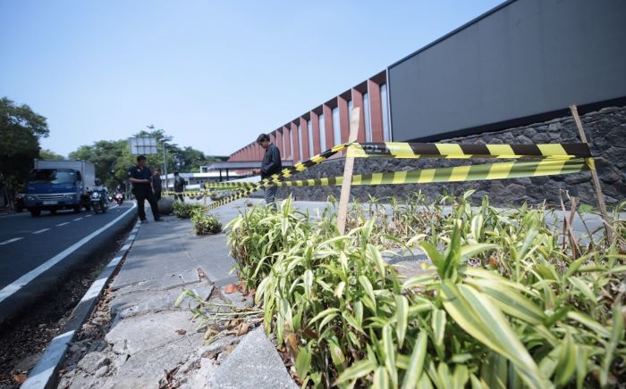Pemkot Bandung Usut Penebangan 10 Pohon di Jalan Riau, Izin Usaha Ikut Dibongkar