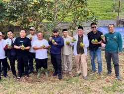 Panen Perdana Alpukat Binaan BAZNAS Jabar Jadi Titik Balik Kemandirian Petani Cianjur