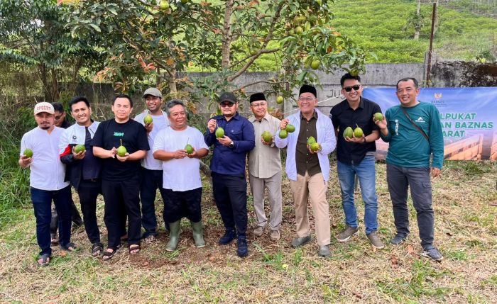 Panen Perdana Alpukat Binaan BAZNAS Jabar Jadi Titik Balik Kemandirian Petani Cianjur