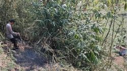 Polisi Bantu Padamkan Kebakaran Lahan Bambu Seluas 100 Tumbak di Pasirjambu Kabupaten Bandung