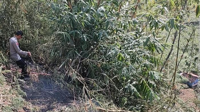Polisi Bantu Padamkan Kebakaran Lahan Bambu Seluas 100 Tumbak di Pasirjambu Kabupaten Bandung