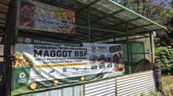 USB YPKP Kembangkan Budidaya Maggot di Padasuka, Sampah Organik Jadi Peluang Ekonomi