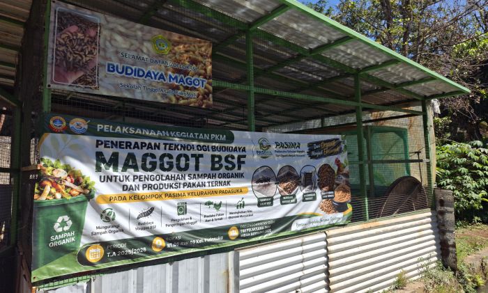 USB YPKP Kembangkan Budidaya Maggot di Padasuka, Sampah Organik Jadi Peluang Ekonomi